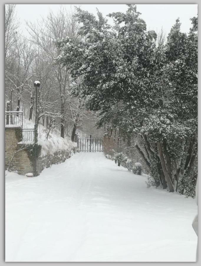 Bed and Breakfast Cascina Luvot Melazzo Esterno foto
